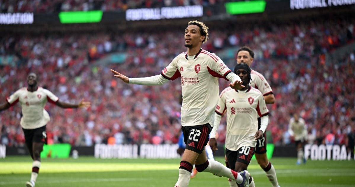 本菲卡训练开放日；国际比赛日状态回暖引欢呼；德甲在即；资深球员宣示担当的简单介绍